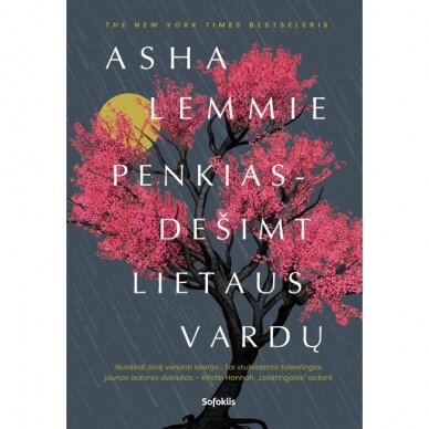 Asha Lemmie. Penkiasdešimt lietaus vardų