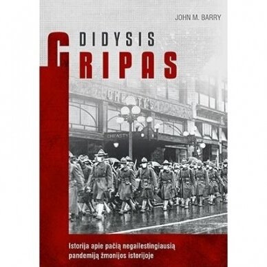 Didysis gripas