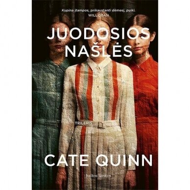 Juodosios našlės. Cate Quinn