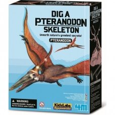 Kasinėjimų rinkinys Pteranodonas