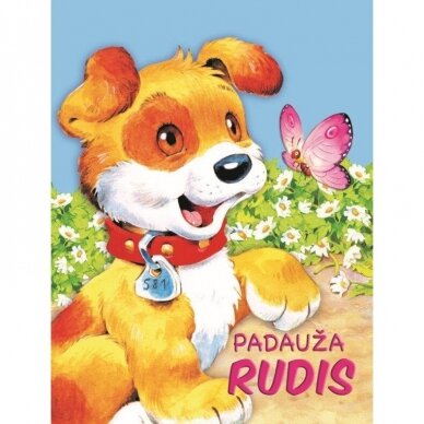 Padauža Rudis