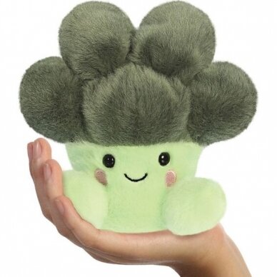 Pliušinis brokolis AURORA PALM PALS 12 cm 1