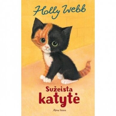 Sužeista katytė. Holly Webb