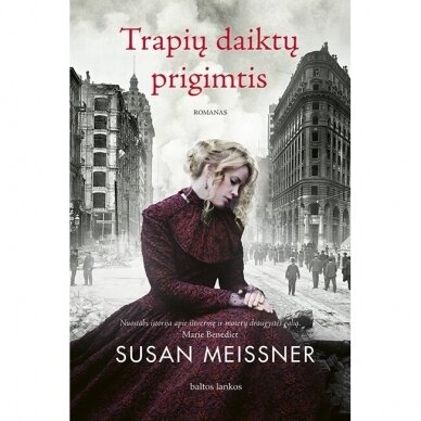 Trapių daiktų prigimtis. Susan Meissner