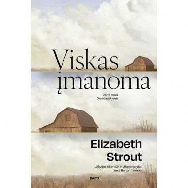 Viskas įmanoma.  Elizabeth Strout